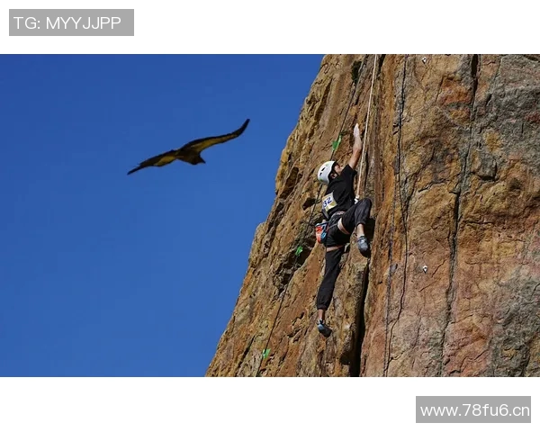 聚焦攀岩运动上海攀岩队在速度赛中的挑战与突破